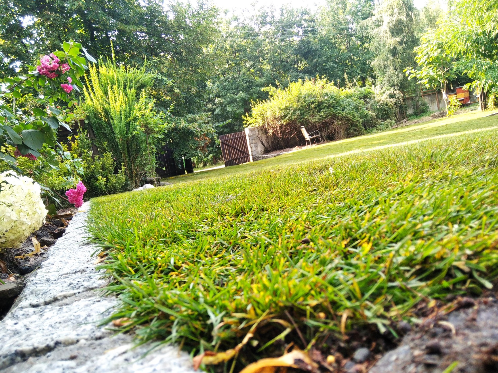 Niski kąt widzenia na zadbany trawnik z obrzeżem z kamienia, w tle ogród z drzewami, krzewami i kwiatami, widoczny fragment drewnianej bramy i krzesło ogrodowe.
