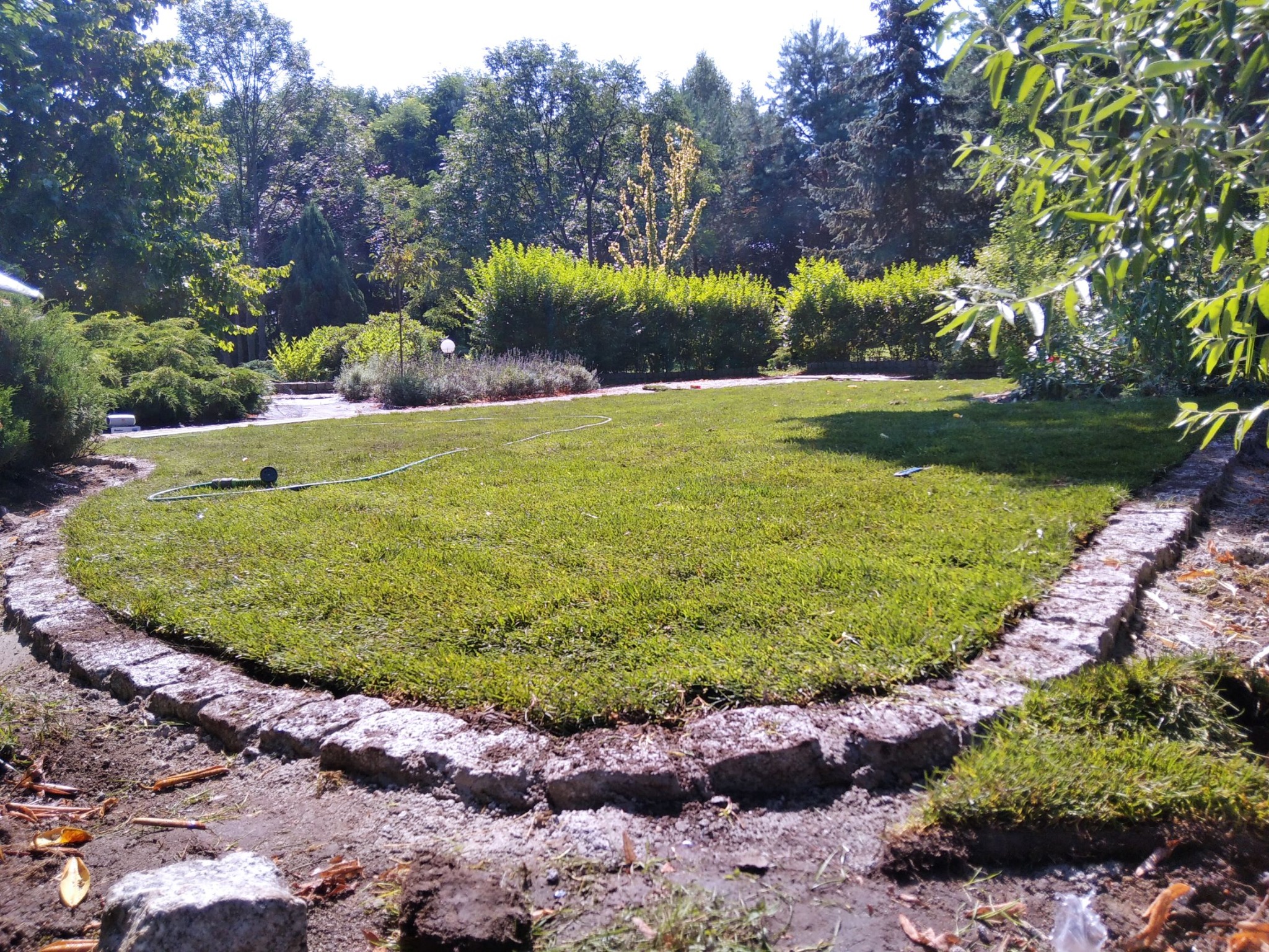 Fragment ogrodu z ułożoną świeżą darnią, obrzeże z kamieni, w tle krzewy i drzewa, widoczny wąż ogrodowy.