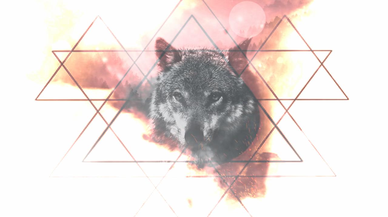 Grafika przedstawiająca głowę wilka nałożoną na abstrakcyjne tło z trójkątami i efektem mgły w odcieniach pomarańczy i bieli.