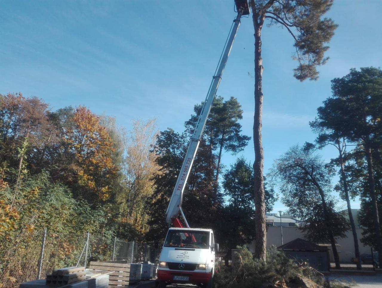 Podnośnik koszowy przy wysokim drzewie podczas prac ogrodniczych, ścięte gałęzie leżą na ziemi, jesienne drzewa w tle.