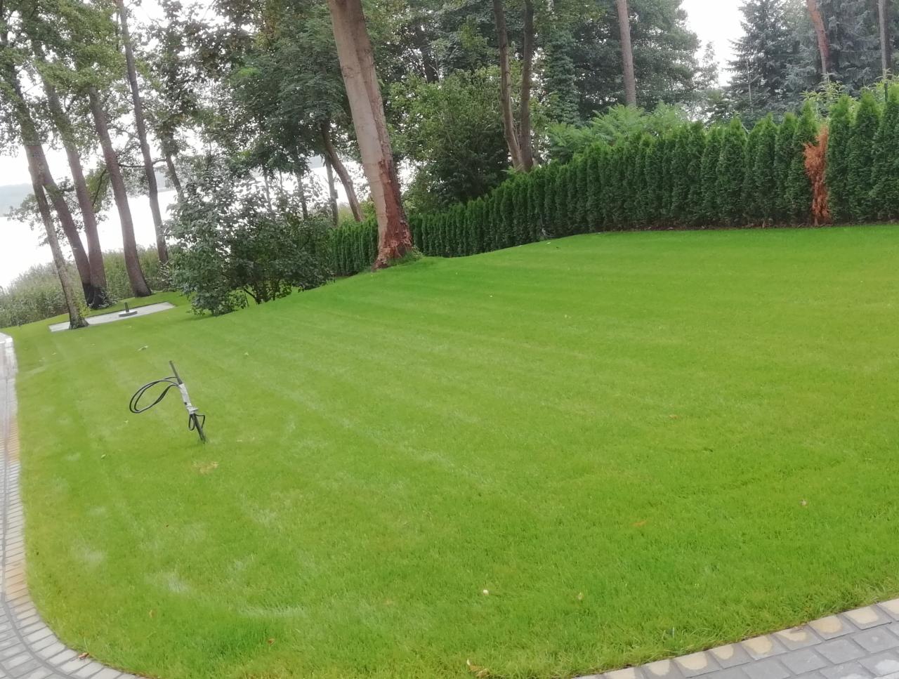 Świeżo skoszony trawnik z systemem nawadniania, otoczony tujami i drzewami liściastymi, widok na jezioro w tle.