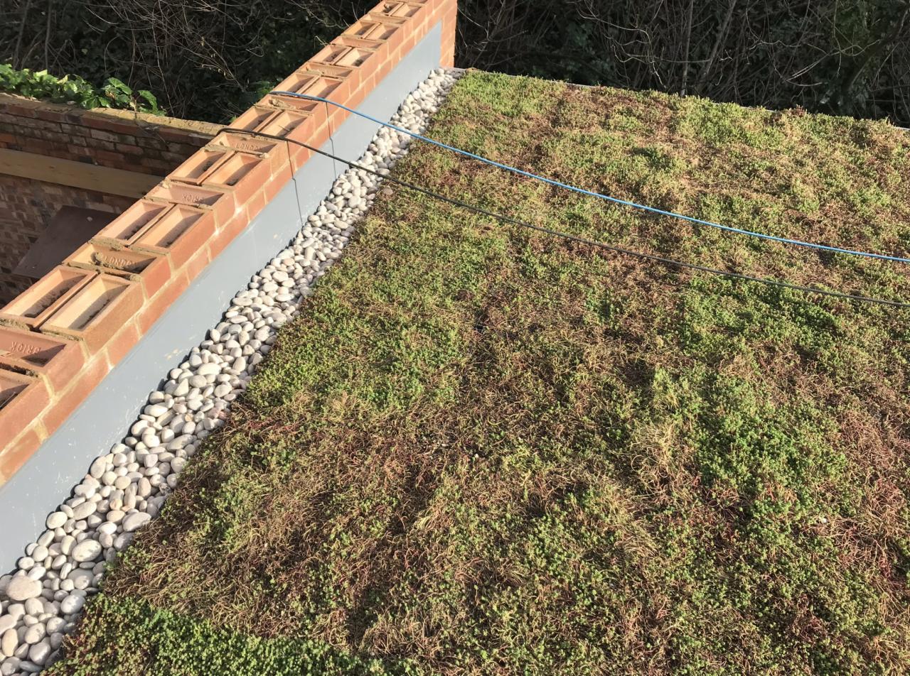 Zielony dach z roślinnością i obrzeżem z białych kamieni, ceglany murek z widocznymi spoinami w tle.