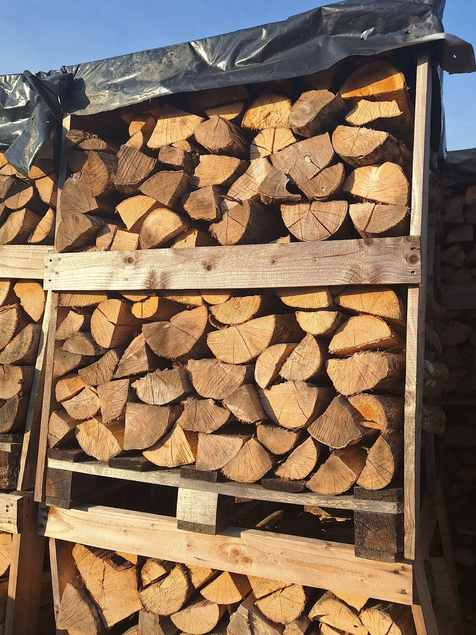 Stos pociętego drewna ułożonego na paletach i zabezpieczonego czarną folią, widoczne słoje drewna i struktura drewna.