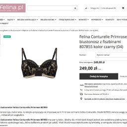 Opisy produktów dla oficjalnego sklepu internetowego marki Felina
