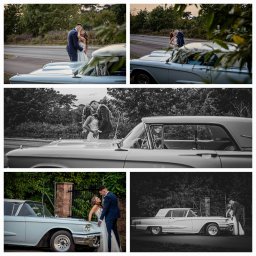 Kamerzysta Goleniów 3