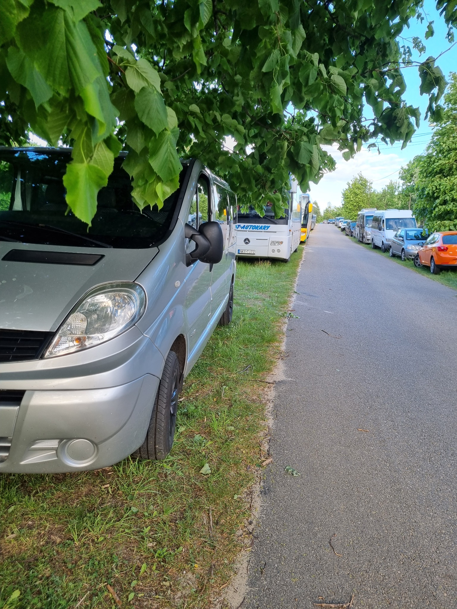 Srebrny bus zaparkowany pod drzewem, w tle rząd zaparkowanych pojazdów, w tym autobusów.
