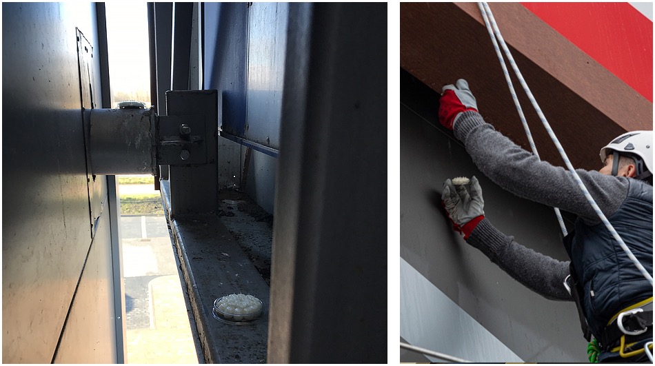 Pracownik na wysokościach, zabezpieczony linami, aplikuje preparat odstraszający ptaki na elewacji budynku. Widoczny żel w przezroczystym pojemniku na konstrukcji budynku.