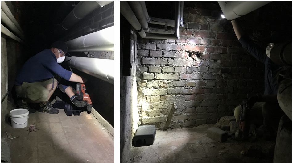 Pracownik w masce i okularach ochronnych, w kucki, wierci otwór w ścianie z cegły w ciemnym pomieszczeniu z rurami pod sufitem, obok wiadro i martwy gryzoń; w drugim ujęciu widoczna pułapka...