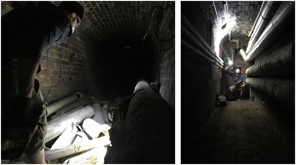 Deratyzacja | Programy ochrony dla Firm.