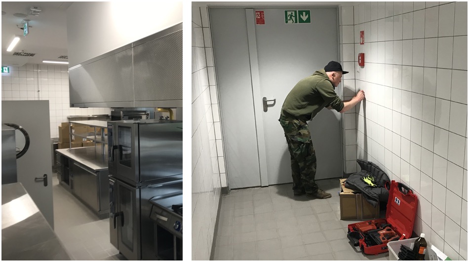 Deratyzacja | Programy ochrony dla Firm.