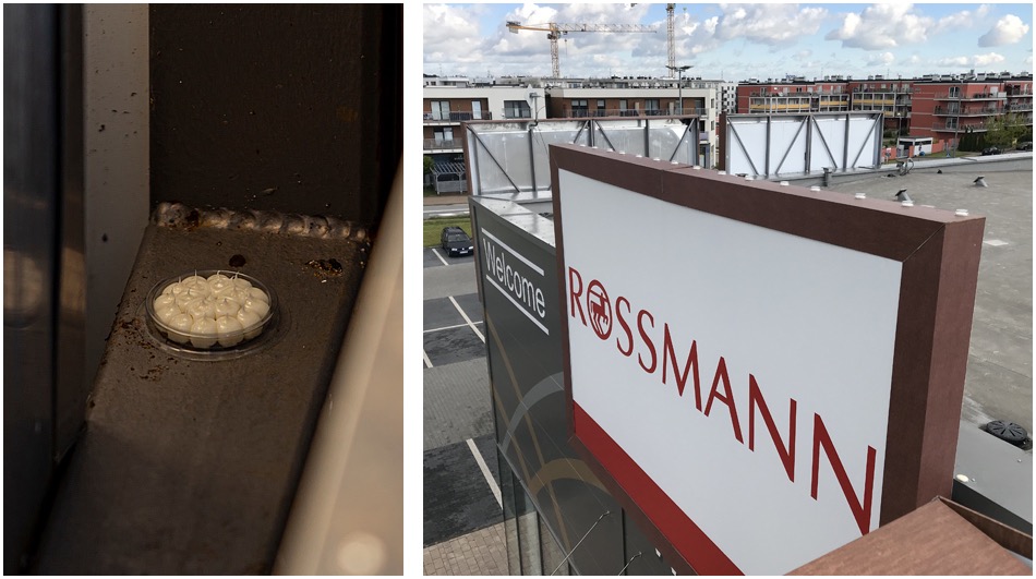 Żelowy system odstraszający ptaki umieszczony w narożniku konstrukcji budynku, widok na parking i budynek Rossmann w tle.