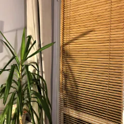 Zamknięte, poziome, drewniane lamele w oknie, obok beżowa zasłona i doniczkowa roślina.