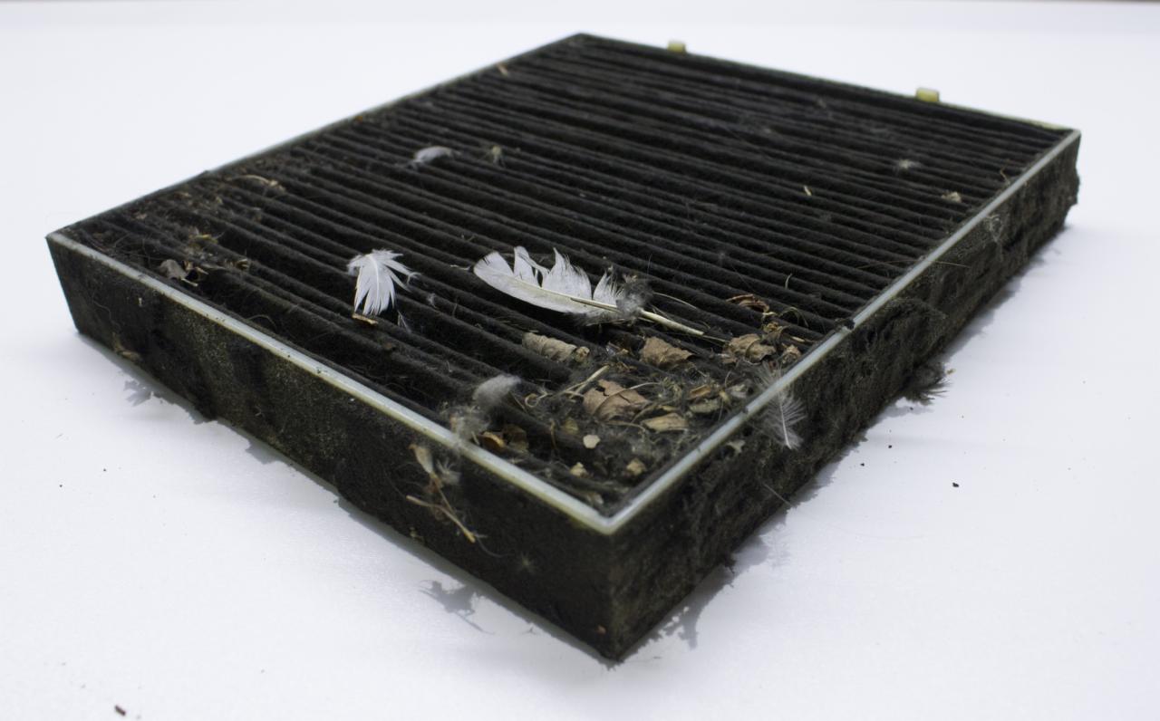 Używany, bardzo zabrudzony filtr kabinowy z piórami i liśćmi na białym tle, ukazujący stopień zanieczyszczenia i potrzebę wymiany.