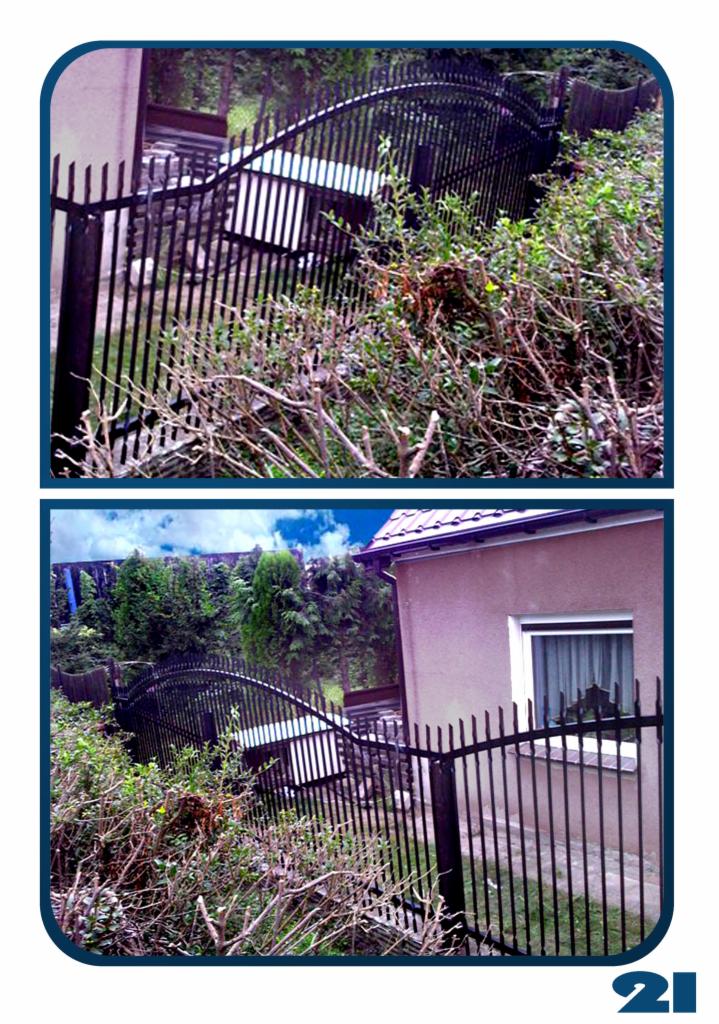 Dwu-kadrowa kompozycja prezentująca fragment czarnego, metalowego ogrodzenia, widzianego przez gęste krzewy i drzewa, z fragmentem budynku w tle, ujęcie z dołu.