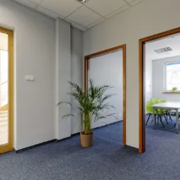 Jasne biuro z trzema wejściami, rośliną doniczkową i salą konferencyjną z zielonymi krzesłami.