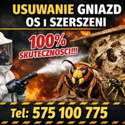 "Usuwanie Gniazd os I szerszeni. Osuszanie odgrzybianie ozonowanie " - Deratyzacja Wilkowisko