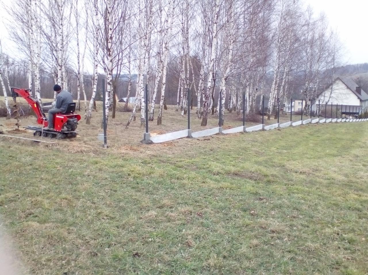 Montaż ogrodzenia panelowego z podmurówką betonową, widoczny mini-koparka w tle lasu brzozowego.