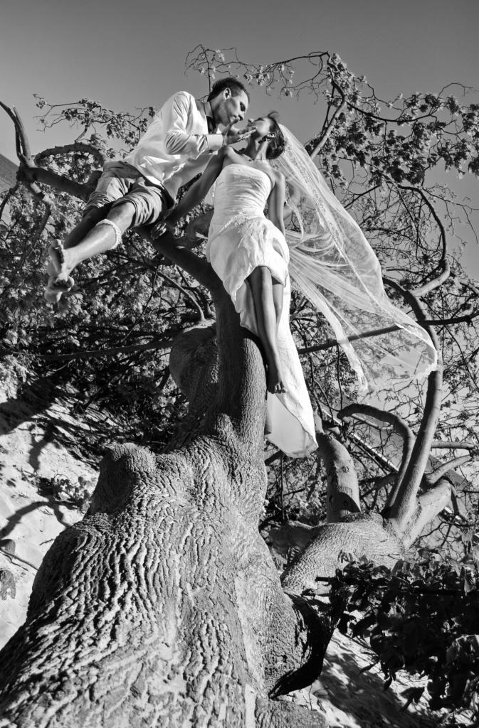 Czarno-białe zdjęcie ślubne przedstawiające parę na drzewie: panna młoda w krótkiej sukni i welonie stoi na grubej gałęzi, a pan młody siedzi obok, trzymając ją za twarz. Ujęcie z dołu, widoczne...