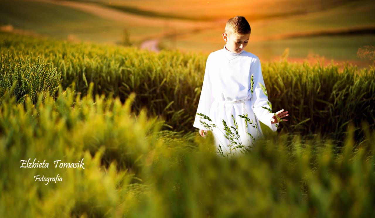 Chłopiec w białej albie z zielonymi aplikacjami, stojący na polu pszenicy w słoneczny dzień, z widocznym krzyżykiem na szyi.
