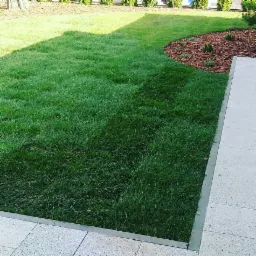 Starannie utrzymany trawnik z intensywnie zieloną trawą, graniczący z jasną kostką brukową i rabatą z korą, tworzący uporządkowany i estetyczny wygląd ogrodu.