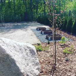 Nowo urządzony fragment ogrodu z dużym głazem, młodym drzewkiem, trzema drewnianymi donicami na żwirowym podłożu i rzędem tuj w tle, wyściółkowany korą.