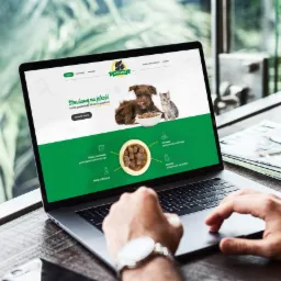 Projekt strony internetowej dla producenta