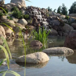 Projektowanie, zakładanie, pielęgnacja ogrodów,