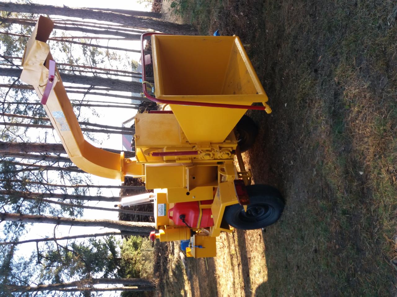 Żółta, mobilna rębarka do gałęzi marki Bandit, stojąca na trawiastym terenie w otoczeniu drzew iglastych.