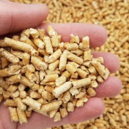 Garść jasnych pelletów drzewnych w dłoni, widoczne drobne pęknięcia i struktura drewna, tło wypełnione dużą ilością pelletu.