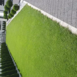 Widok z góry na równy, zielony trawnik przylegający do kostki brukowej i białego muru z formowanymi krzewami, z nowoczesnym domem w tle.