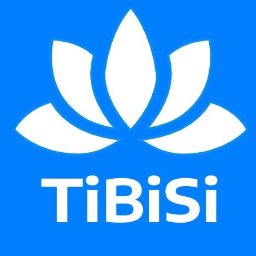 TIBISI GROUP SPÓŁKA Z OGRANICZONĄ ODPOWIEDZIALNOŚCIĄ - Sprzątanie Firm Kraków