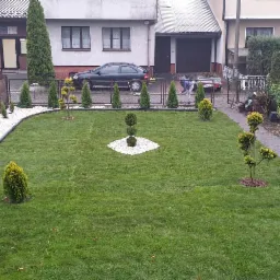 Świeżo założony trawnik z równo przystrzyżoną trawą, ozdobnymi krzewami i białym żwirem, widoczne prace porządkowe w tle.