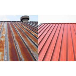 Mobilna Myjnia Mycie Pełną Parą - Malowanie dachu