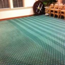 Mobilna Myjnia Mycie Pełną Parą - Wnętrze pomieszczenia z zieloną, wzorzystą wykładziną dywanową po czyszczeniu, widoczne jaśniejsze pasy po usunięciu zabrudzeń, w tle krzesła i stół.