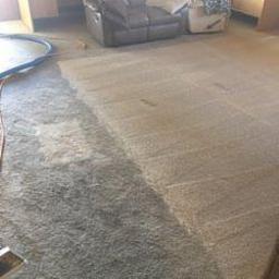 Mobilna Myjnia Mycie Pełną Parą - Dywan częściowo wyczyszczony, widoczna różnica w kolorze i strukturze włosia między obszarem po zabiegu a przed, w tle meble i akcesoria domowe.