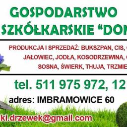 Sadzonki Imbramowice 2
