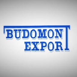 Budomont Export B.Parzoch Sp.K - Ogniwa Fotowoltaiczne Bytom