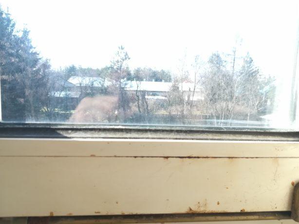 Brudne okno z widokiem na drzewa i budynki w tle, widoczne zacieki i kurz na szybie oraz zabrudzenia na ramie okiennej.