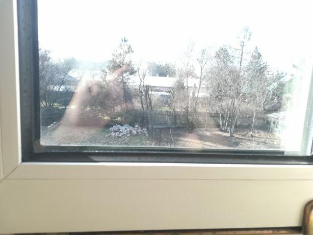 Widok z okna na ogród wczesną wiosną, z widocznymi drzewami bez liści, brązową trawą i kupką kamieni, lekki odblask w szybie.