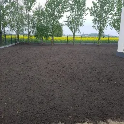 Przygotowany teren pod trawnik z widocznymi drzewami wzdłuż ogrodzenia i polem rzepaku w tle.