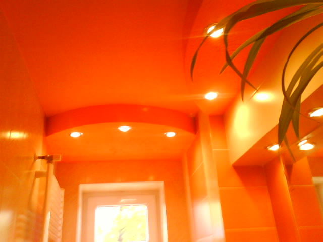 Pomarańczowa łazienka z terakotą na ścianach, podświetlany sufit i roślina doniczkowa w rogu.