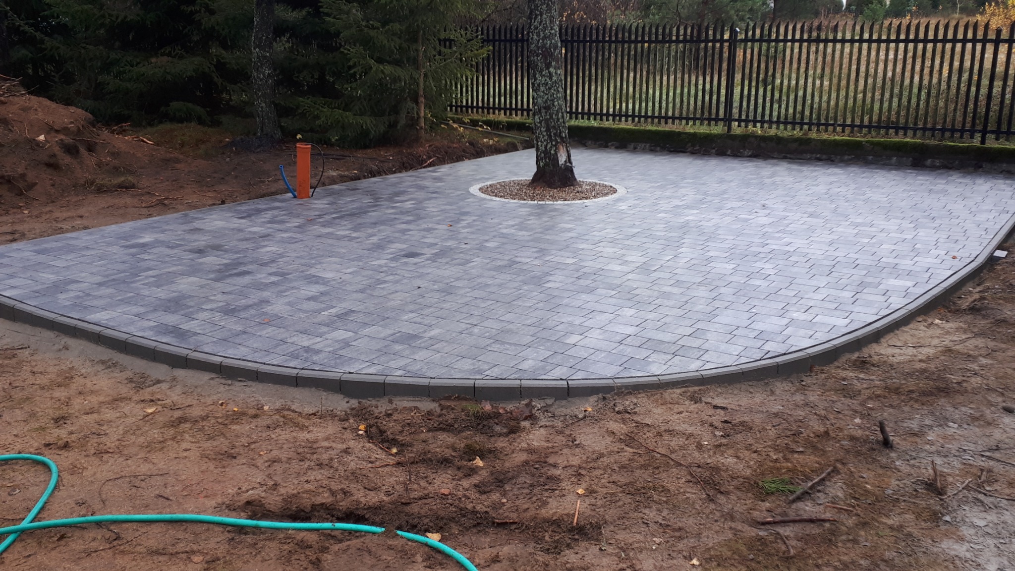 Ułożona szara kostka brukowa na posesji z drzewem pośrodku, obrzeża wykończone ciemniejszą kostką, w tle czarne metalowe ogrodzenie.