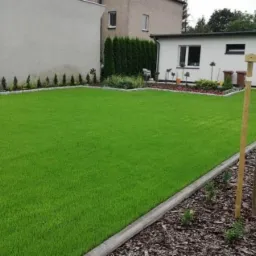 Idealnie zielony trawnik z rolki, obrzeża wykończone kostką betonową, w tle budynek mieszkalny i gospodarczy, młode drzewka zabezpieczone palikami wzdłuż rabaty z korą.