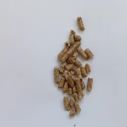 Jasnobrązowe granulki biomasy ułożone w małą piramidę na białym tle, widoczne nierówności i struktura materiału.