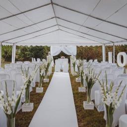 Kwiaty Stanisławów 2