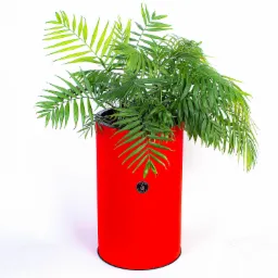 Zieleń w jaskrawoczerwonej, cylindrycznej osłonce doniczki z logo na białym tle.