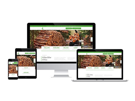 Responsywny projekt strony internetowej gal-axy.com.pl przedstawiony na monitorze, laptopie, tablecie i smartfonie, z motywem drewna i zieleni.