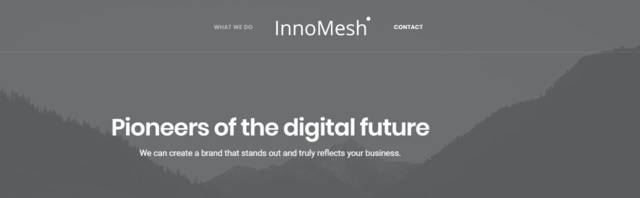 Szaro-biała strona internetowa firmy InnoMesh z hasłem 'Pioneers of the digital future' na tle górskiego krajobrazu.