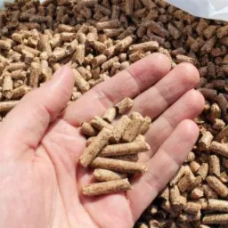 Garść jasnobrązowego pelletu drzewnego na tle worka wypełnionego tym samym materiałem, widoczna faktura i struktura pelletu.