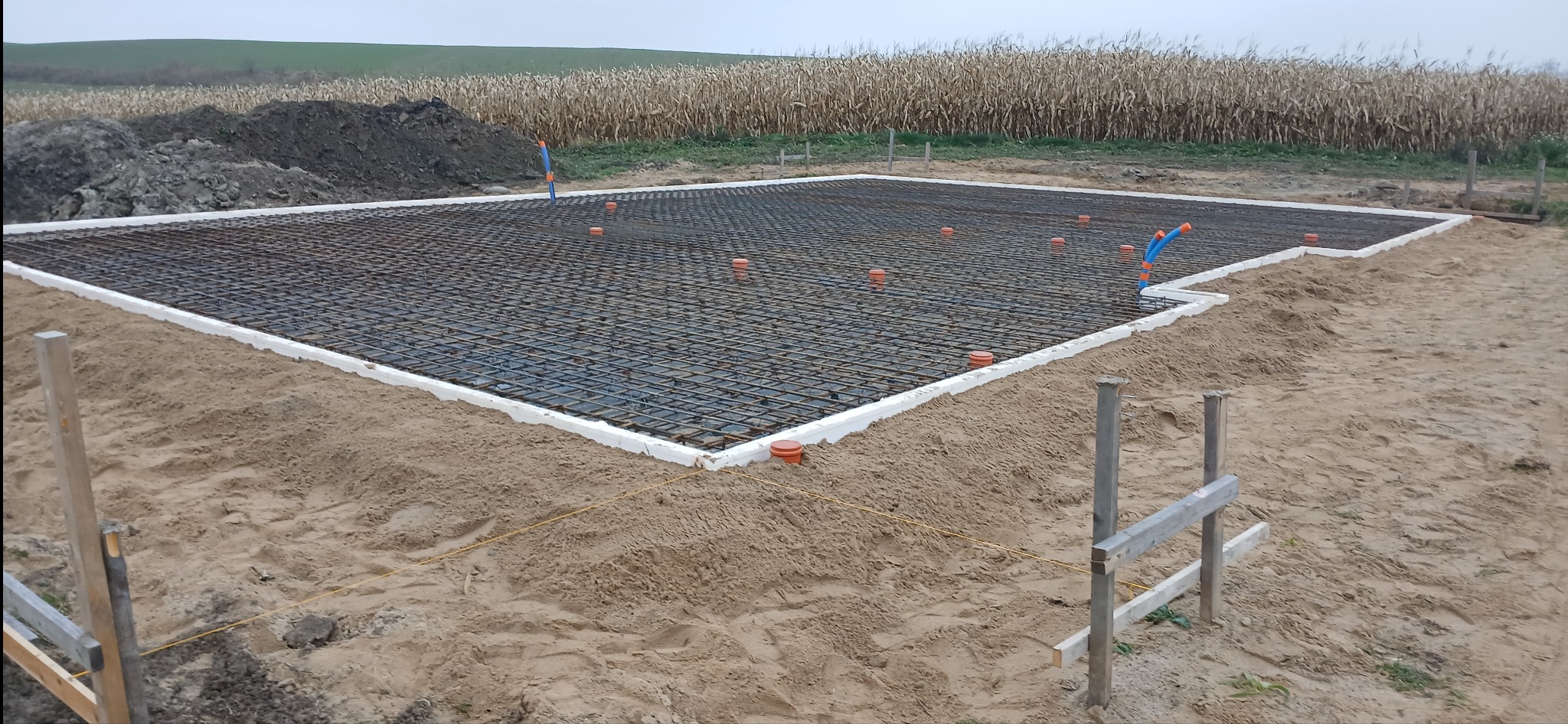 Zbrojenie fundamentu płyty, otoczone białym styropianem, z widocznymi pionowymi rurami instalacyjnymi i stertą ziemi w tle pola kukurydzy.